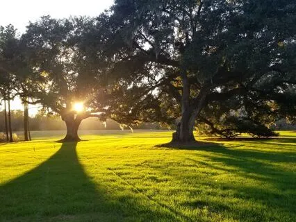 Deep Sleep Meditation