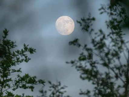 Quiet Your Mind And Drift Into Deep Sleep