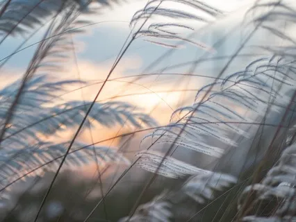 Deep Sleep Meditation