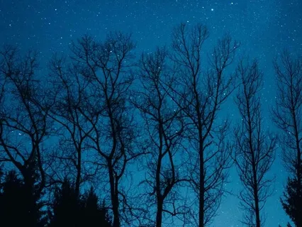 Deep Sleep - Melatonin Release Music