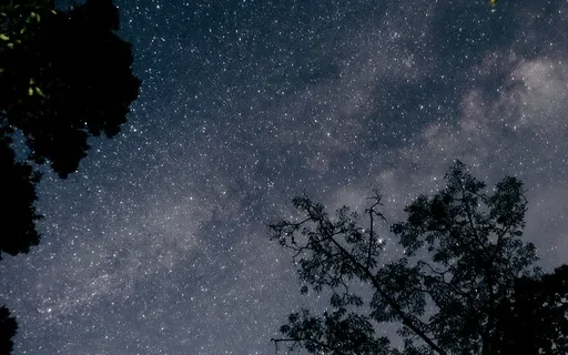 Deep Sleep: Melody Trance