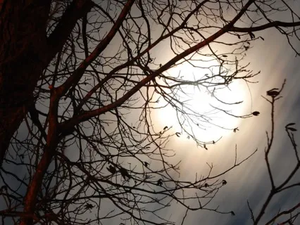 Deep Sleep - Mind And Body Relaxation