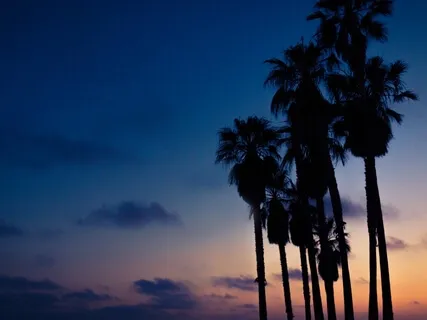 Deep Sleep - Miracle Healing