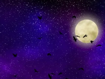 Deep Sleep - Moonlit Lullabies