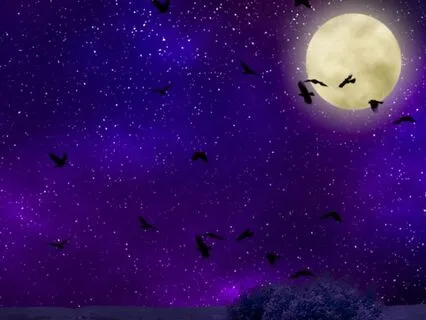 Deep Sleep - Moonlit Lullabies