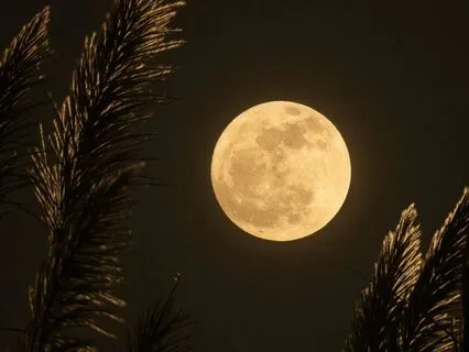 Deep Sleep Music | 528 Hz Healing Frequency