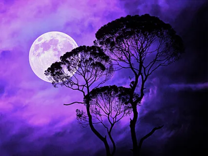 Deep Meditative Sleep 528Hz Music