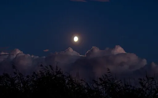 Deep Sleep Music, Angelic Love Frequency