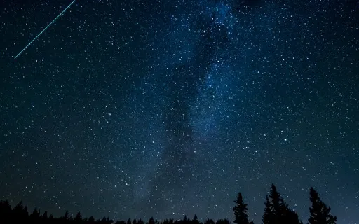 Deep Sleep Music, Birds Chirping, Shamanic Vibes