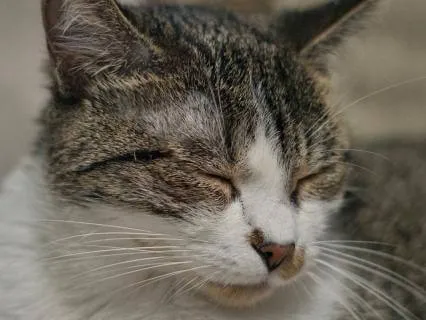 Calm Down in Minutes: Deep Sleep Music