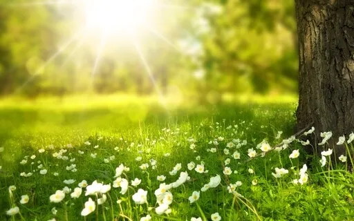 Deep Sleep Music, Clear Thoughts