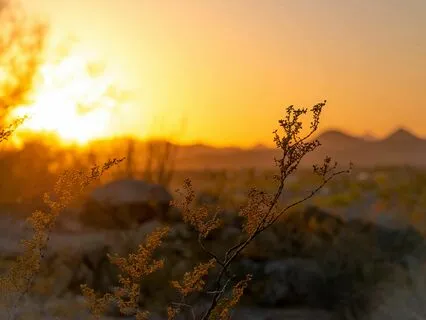 Deep Sleep Music: Delta Waves, Background While Sleeping