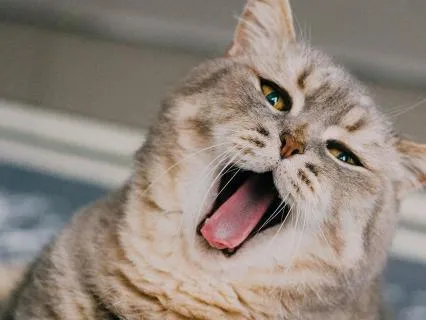 Deep Healing Sleep: Night Therapy