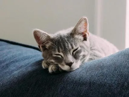 Fall Asleep Fast: No Anxiety Tonight