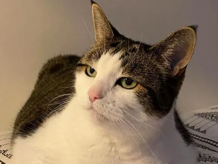 Fall Asleep Naturally: No Stress, No Noise