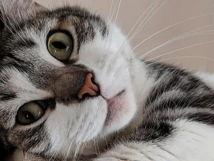 Release Sadness: Healing Sleep Music (Sadness and Sorrow)