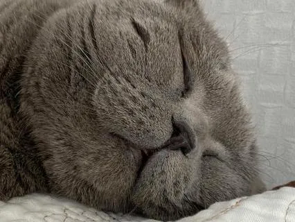 Warm Healing Night: Spring Day Sleep Music