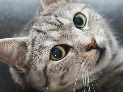 Feel Warm & Safe: Up Theme Sleep Music