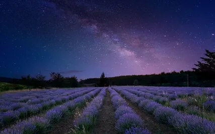 Deep Sleep Music - Outer Rings