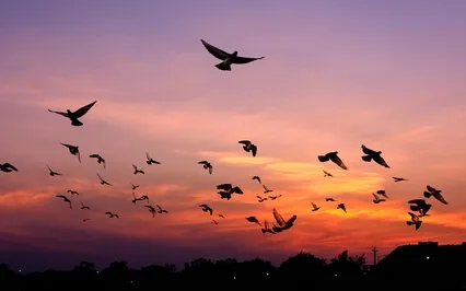 Deep Sleep Music, Powerful Healing Frequency