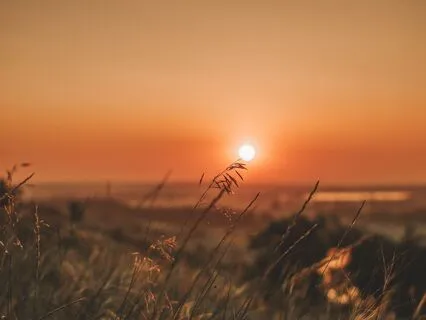 Deep Sleep Music - Serotonin, Dopamine & Endorphin Release