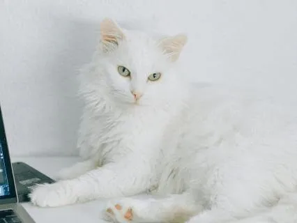 Quiet Your Mind Now: Sleep Without Overthinking