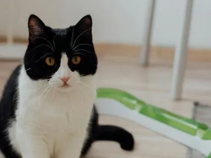 Instant Stress Relief: Gentle Sleep Music