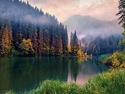 Deep Sleep Music To Lower Cortisol And Calm Your Mind