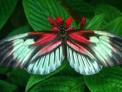 Deep Sleep, Nervous System Reset