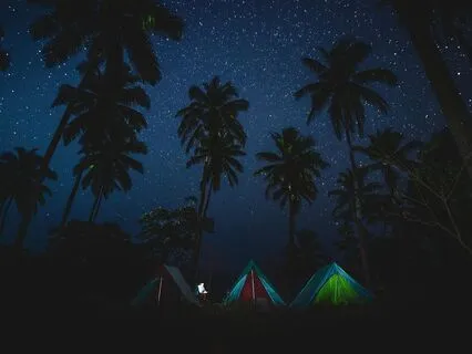 Deep Sleep Night In The Tropics With Music