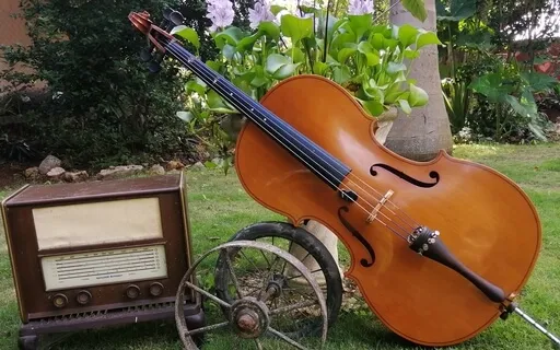 Deep Sleep, Nightingale 432Hz Cello, Bass & Guitar