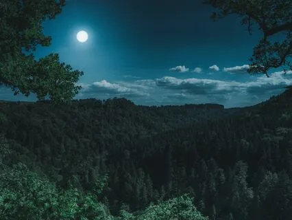 Deep Sleep - Nighttime Nirvana