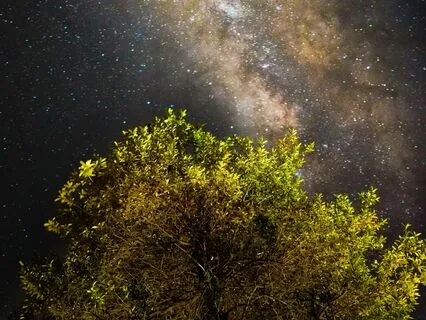 Deep Sleep Oasis: Stress-Free Rest