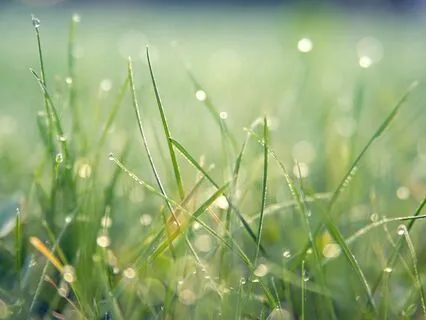 Deep Sleep: OM Mantra With Rain, 3 Hours