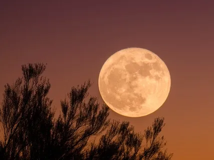 Deep Sleep - Opening The Veil