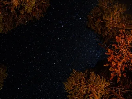 Deep Sleep - Passion & Creativity