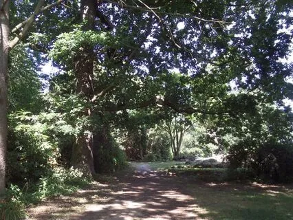 Deep Sleep Path To Peace (No Music)