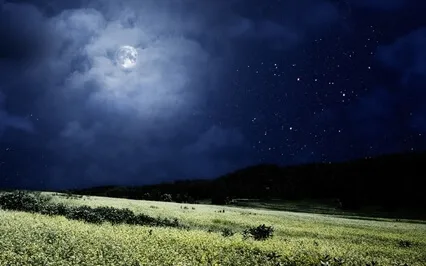 Deep Sleep Peaceful Meadow Meditation