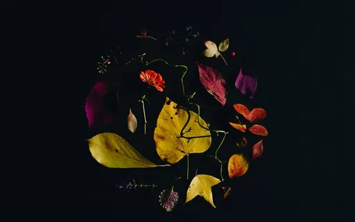 Deep Sleep Power For Your Mind And Soul