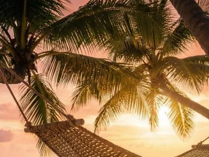 Deep Sleep - Power Nap Extended Recovery | 8 Hours Rest