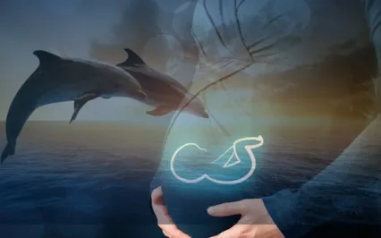 Deep Sleep Pregnancy Meditation