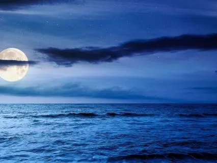 Deep Sleep - Pure Calm 2