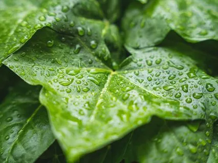 Deep Sleep: Rain And Thunderstorms 3 Hours