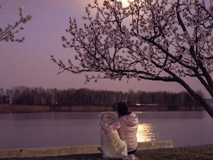 Deep Sleep - Reiki For Pets