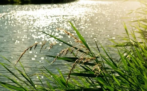 Deep Sleep - Relax And Heal