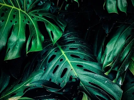 Deep Sleep Relaxation During Complicated Times 