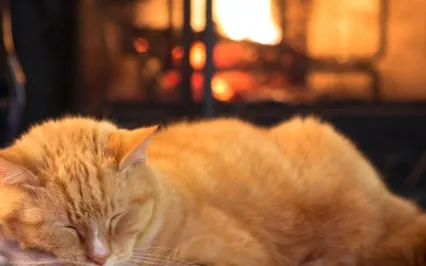 Deep Sleep Relaxation: Fireplace, Thunder & Rain