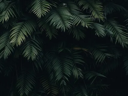 Deep Sleep Relaxation