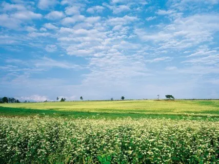 Deep Sleep - Relaxing Blend Of Tranquility