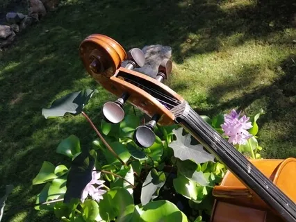 Deep Sleep Relaxing Cello Music 432Hz